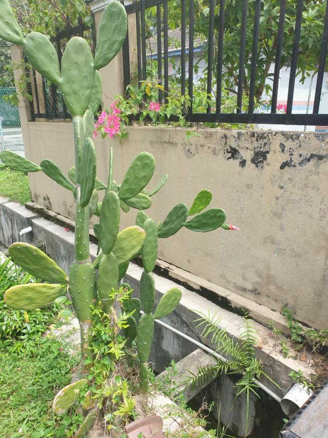 Lavender Impian Homestay 까장 외부 사진